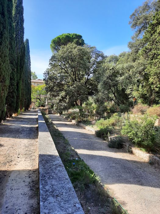 vue partielle du jardin