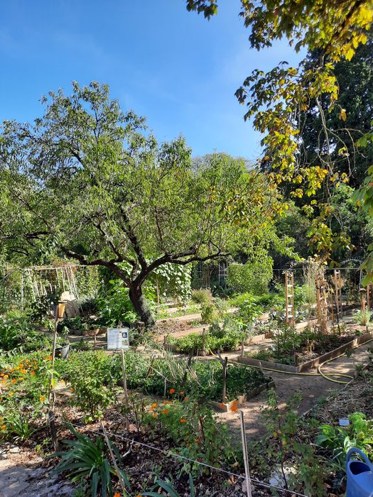 vue partielle du jardin