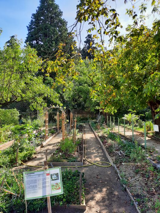 vue partielle du jardin