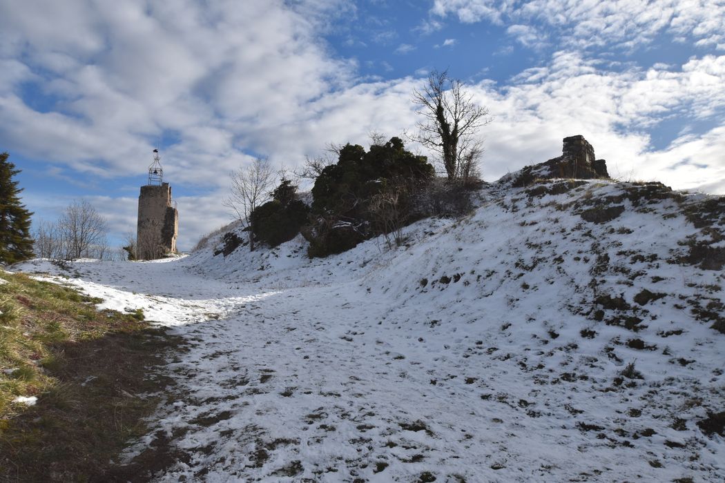 vue générale du site depuis l’Ouest, avec en arrière plan la tour de l’Horloge