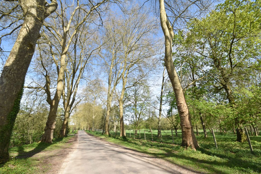 parc, grande allée ouest depuis la grille de Guéville