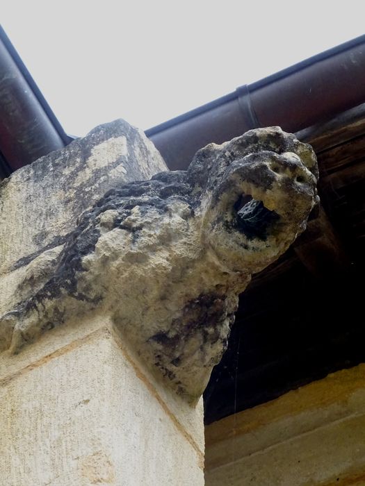 cloître, détail d’une gargouille