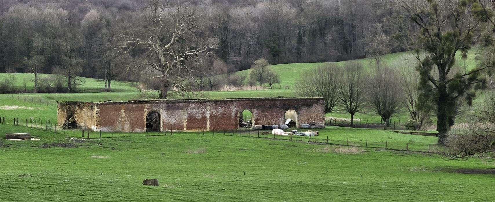 vue générale des ruines situées au Nord-Est de la chartreuse