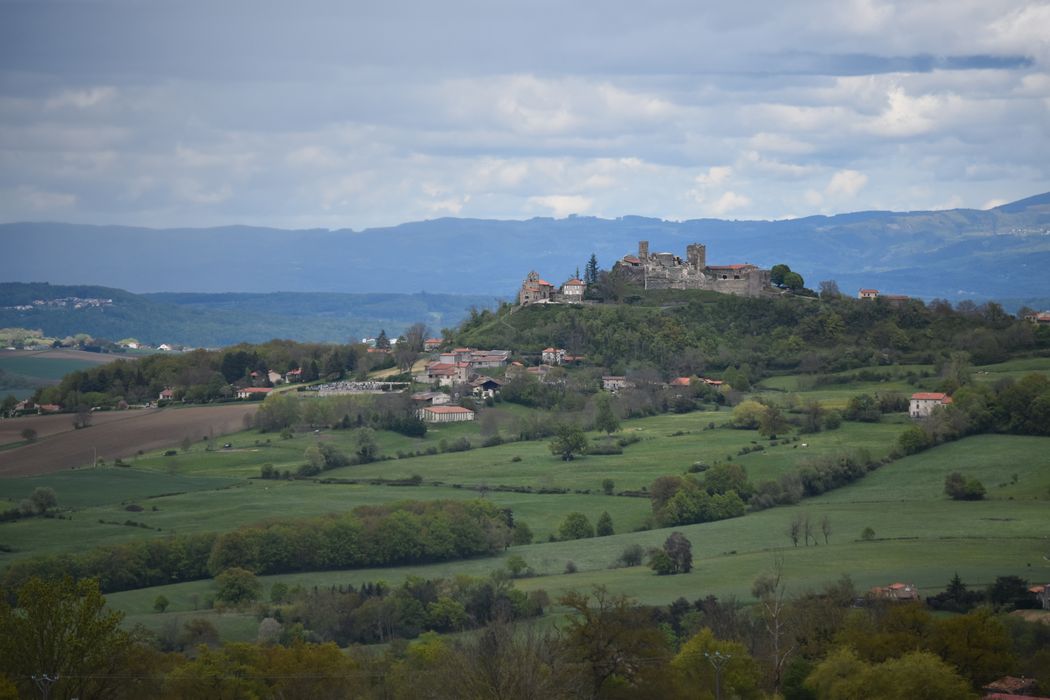 vue générale des vestiges dans leur environnement depuis le Sud-Ouest