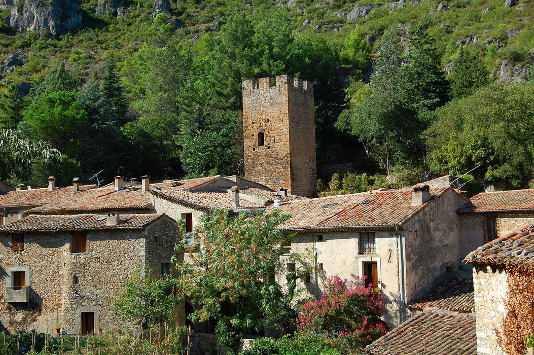 vue générale de la tour dans son environnement depuis le Sud-Est