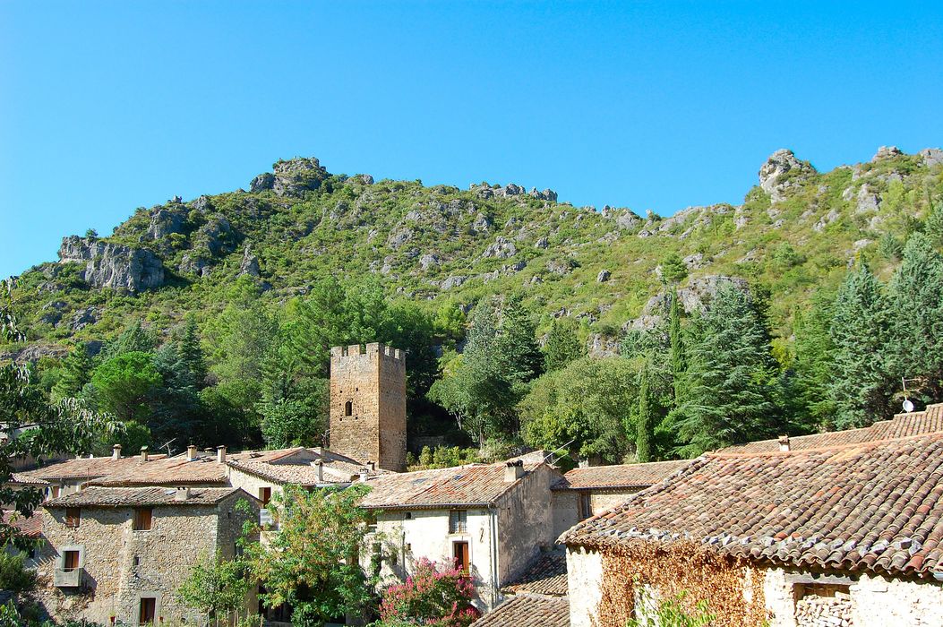 vue générale de la tour dans son environnement depuis le Sud-Est