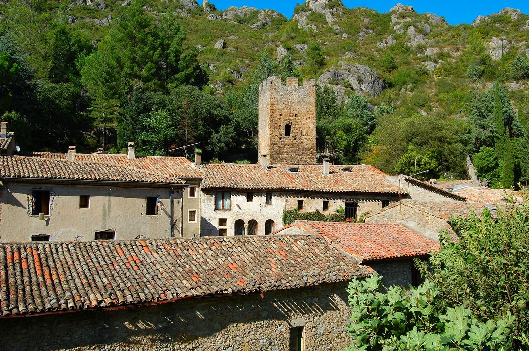 vue générale de la tour dans son environnement depuis le Sud