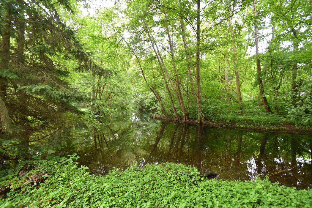 parc, étang au sud-ouest