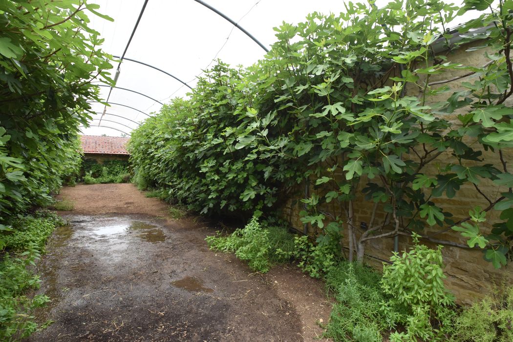 jardin, chambre de chaleur