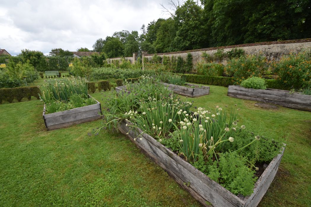 potager, vue partielle