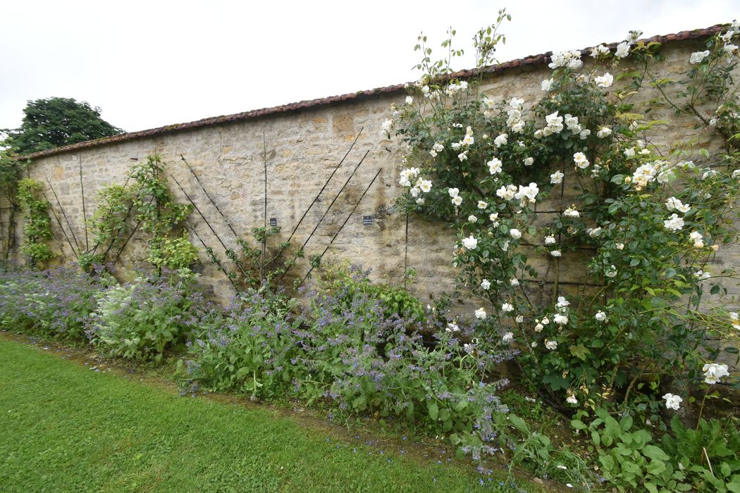 potager, vue partielle du mur de clôture