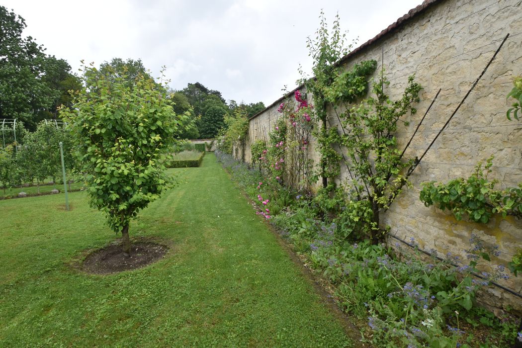 potager, vue partielle du mur de clôture