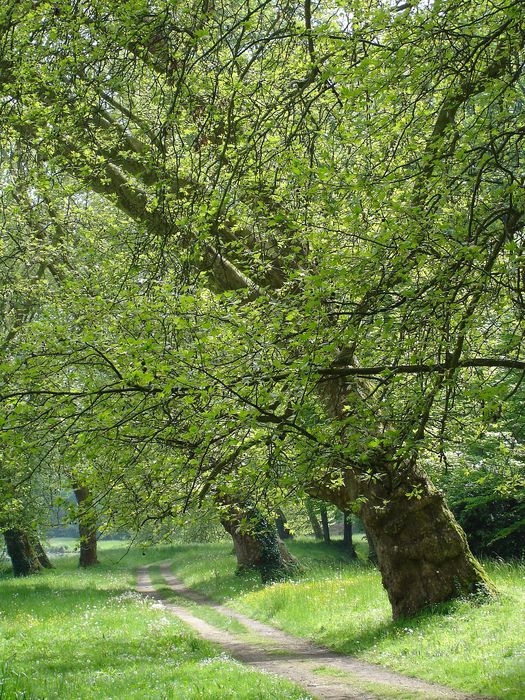 vue partielle du parc