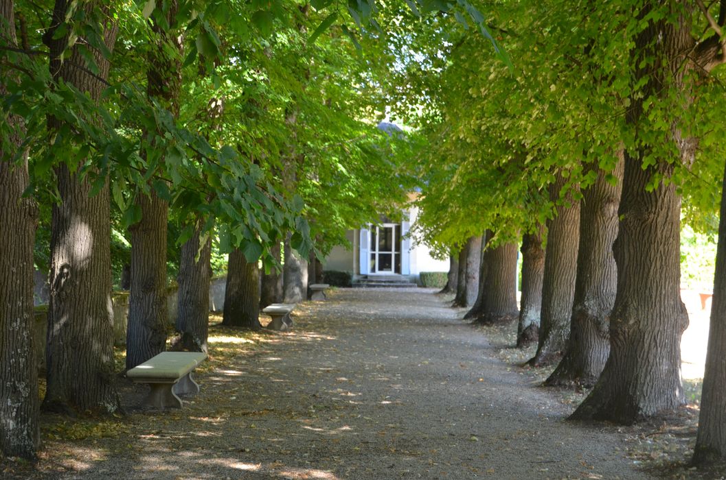 parc, vue partielle d’une allée