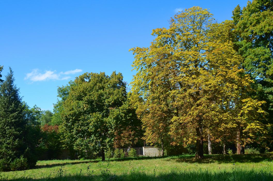 parc, vue partielle