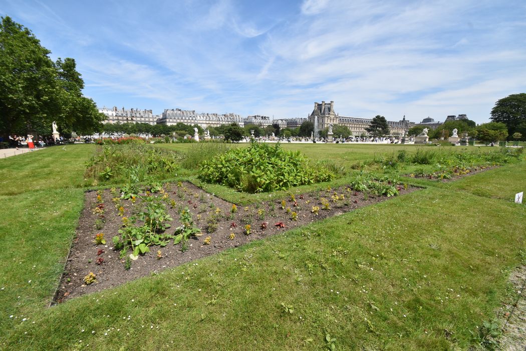 parc des Tuileries, vue partielle en direction du Nord-Est depuis l’allée centrale