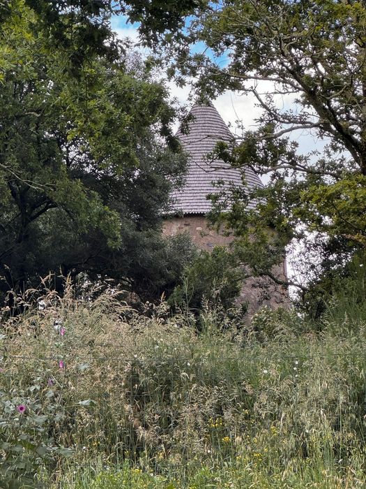 vue partielle du moulin dans son environnement