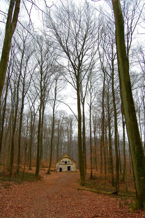 vue générale du regard dans son environnement depuis le Sud-Ouest