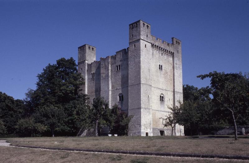 Donjon sur parc