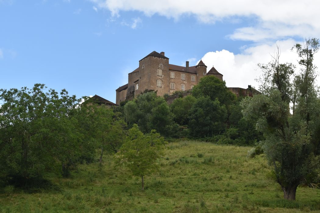 vue générale du château dans son environnement depuis le Sud-Ouest