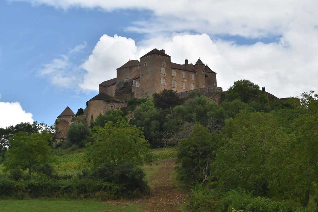 vue générale du château dans son environnement depuis le Sud-Ouest