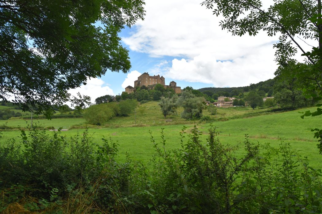 vue générale du château dans son environnement depuis le Sud-Ouest