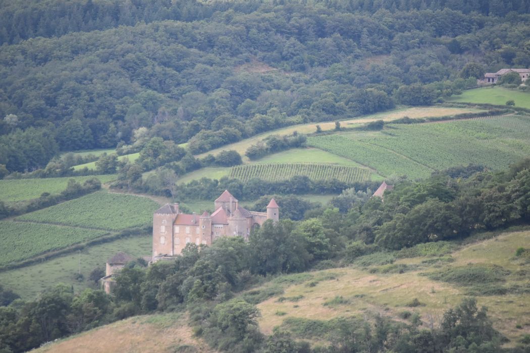 vue générale du château dans son environnement depuis le Sud-Est