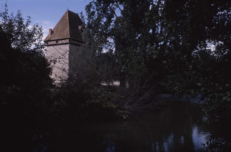 La tour féodale en bordure de l'Allier