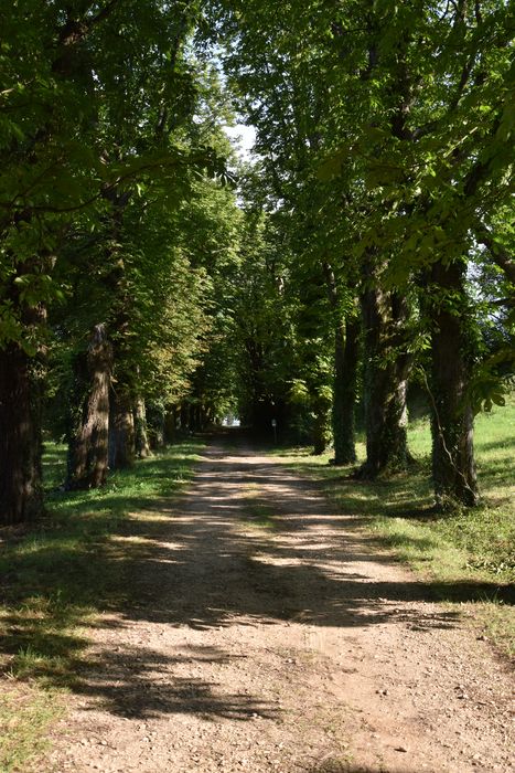 allée d’accès est