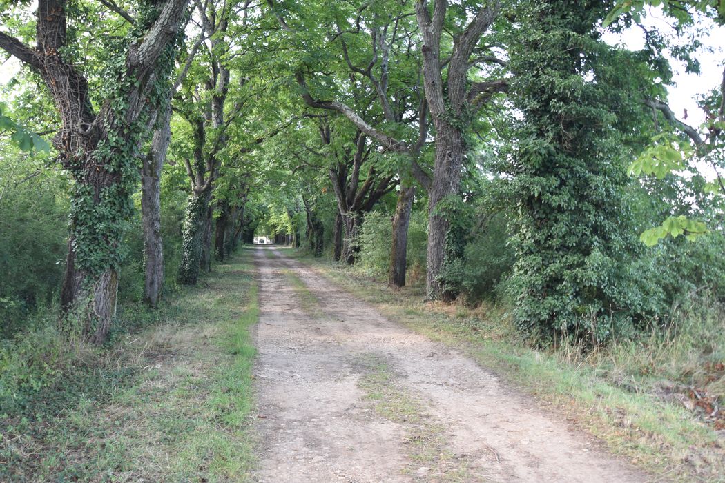 allée d’accès est