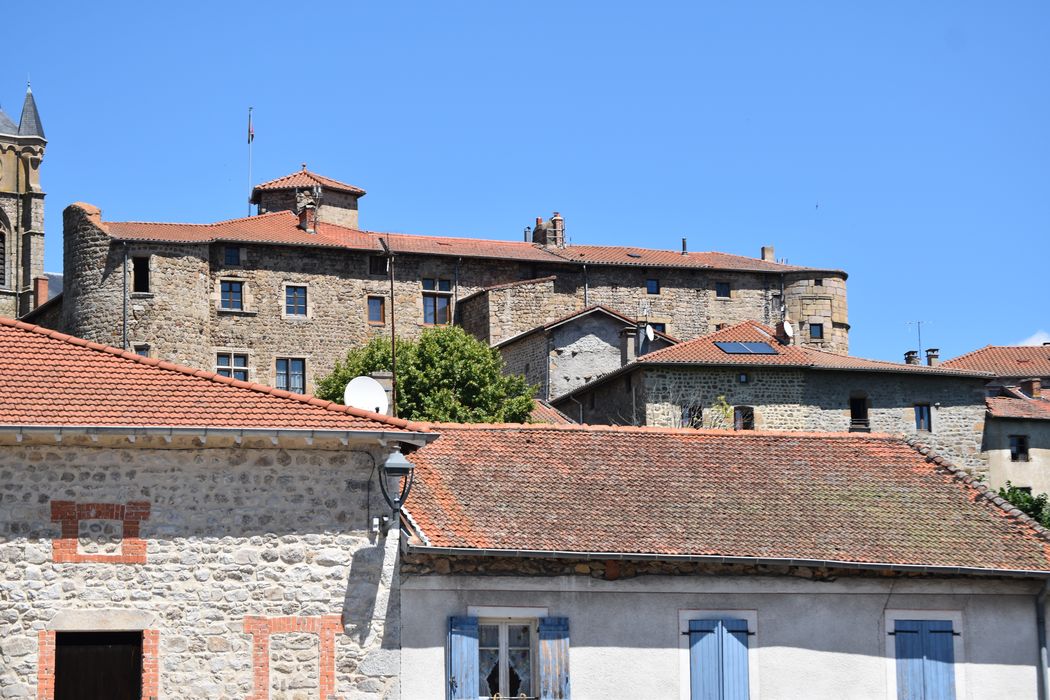 vue partielle du château dans son environnement urbain depuis le Sud