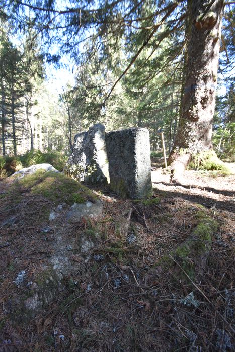 vue générale de la borne (revers)