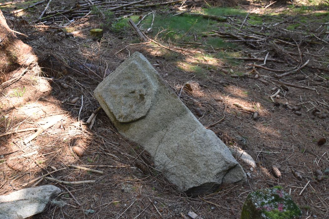 vue générale de la borne