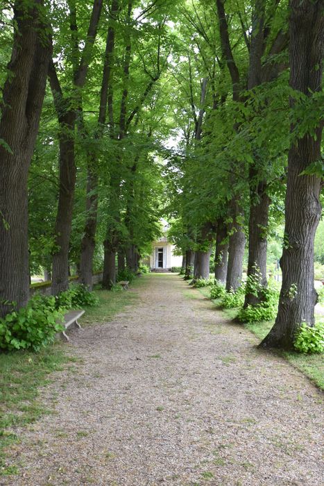 château de Malmaison, parc, allée des tilleuls bordant les parterres des roses anciennes