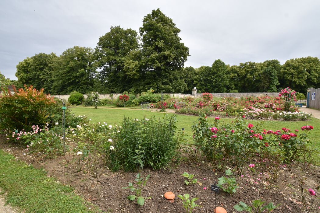 château de Malmaison, parc, parterres des roses modernes