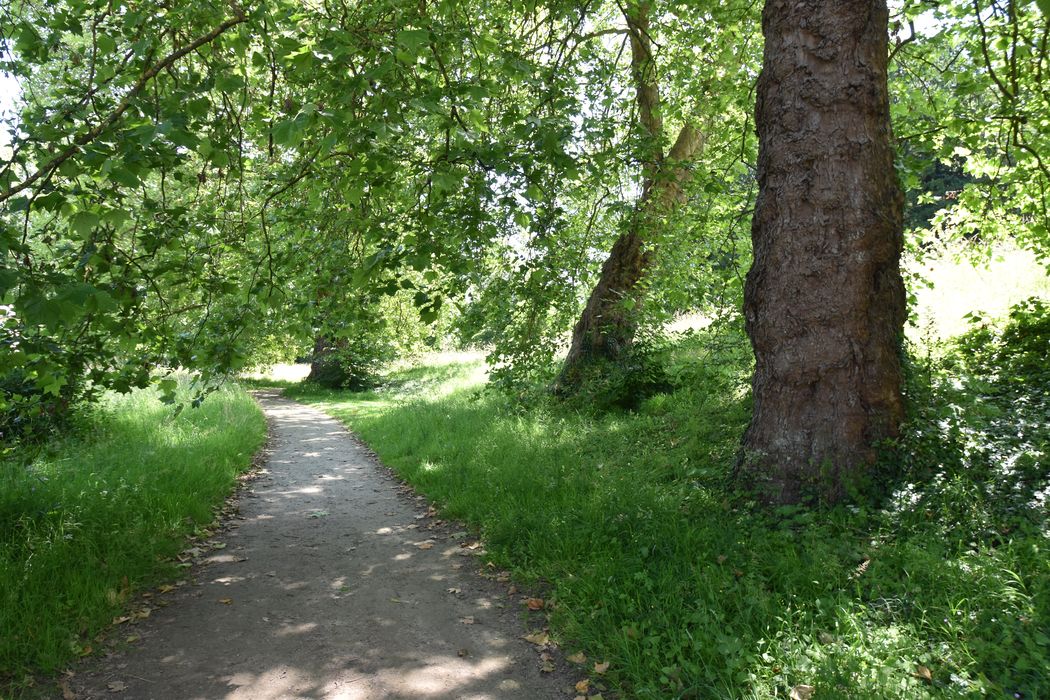 parc, vue partielle d’une allée