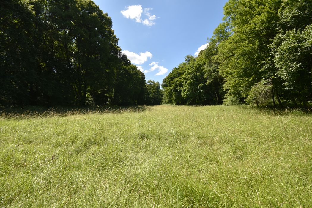 parc, vue partielle d’une prairie