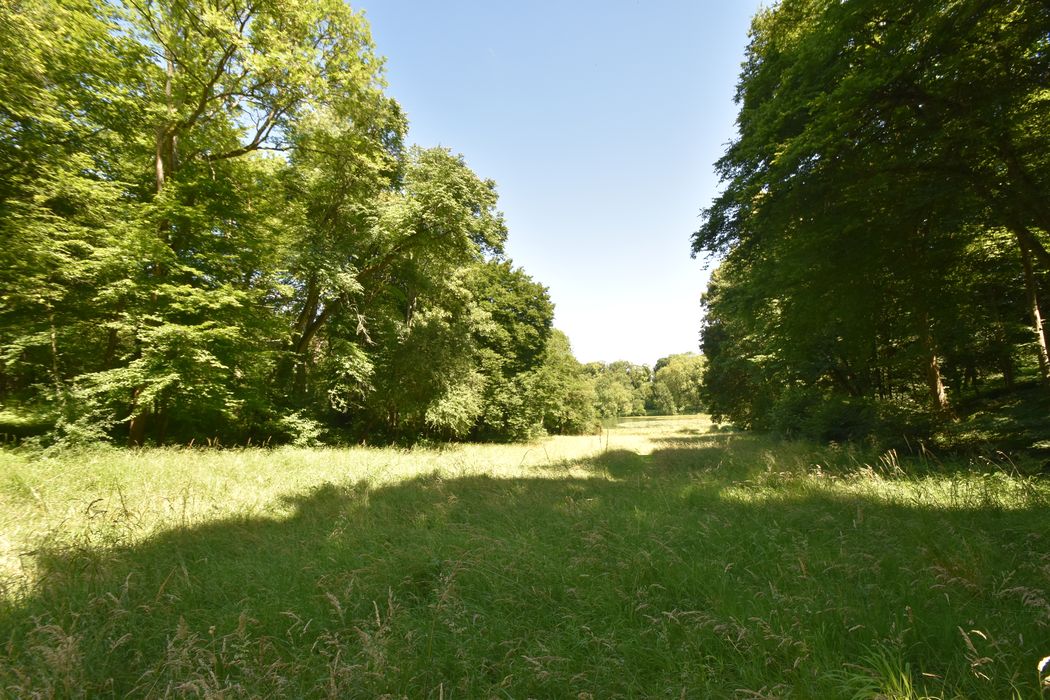 parc, vue partielle d’une prairie