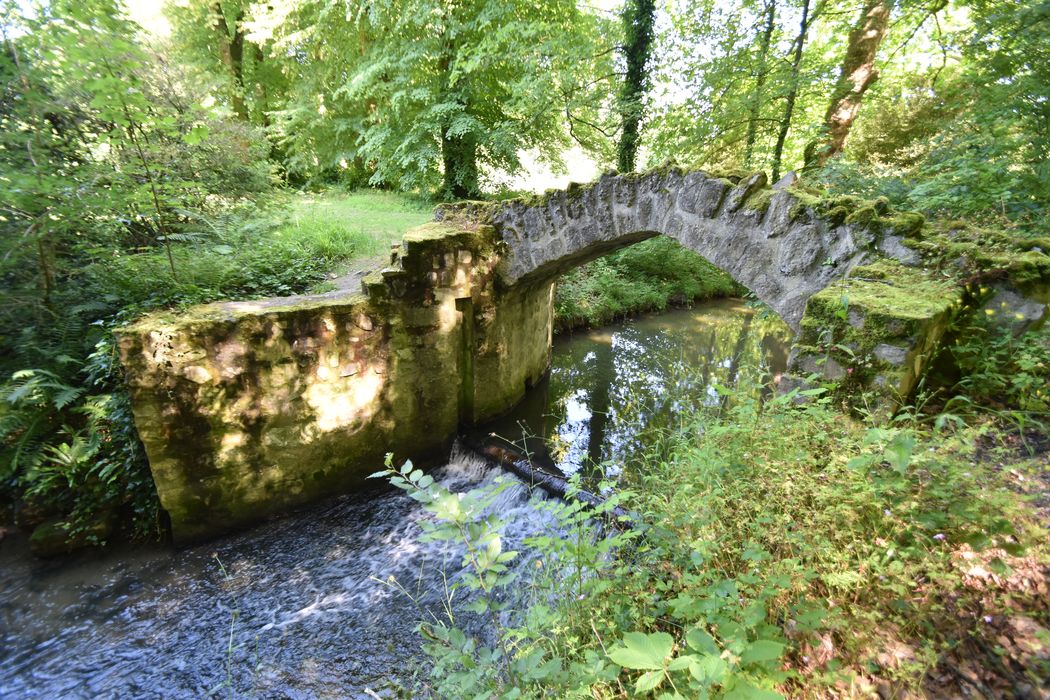 parc, pont rustique