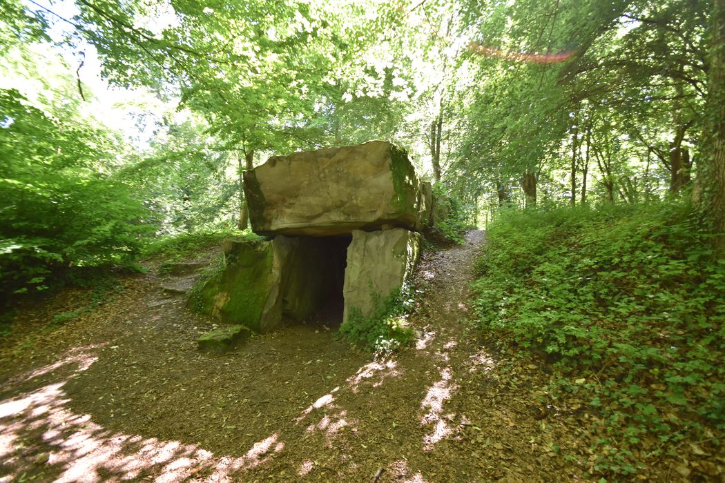 parc, dolmen