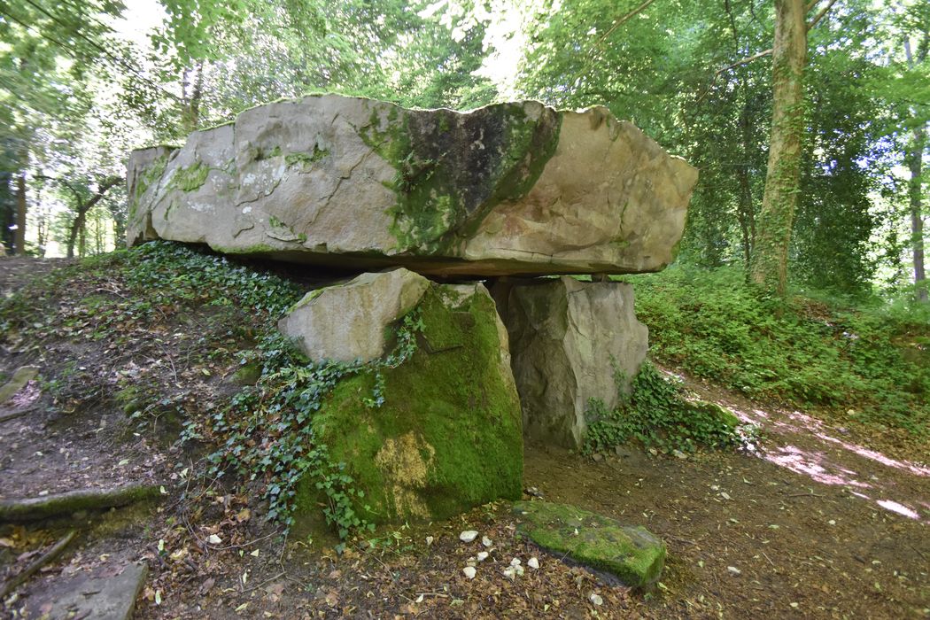 parc, dolmen