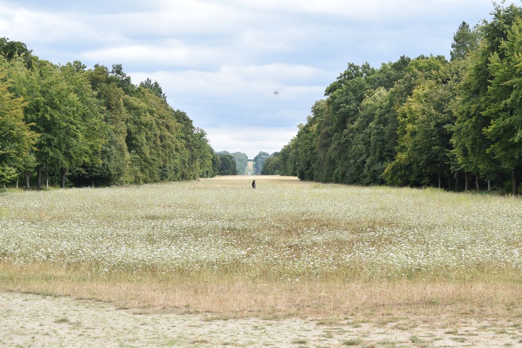 parc, grande perspective est