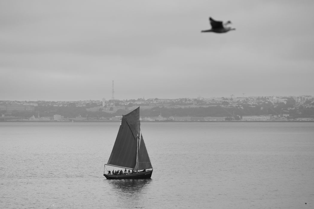 bateau de pêche : coquillier dit Bergère de Domrémy