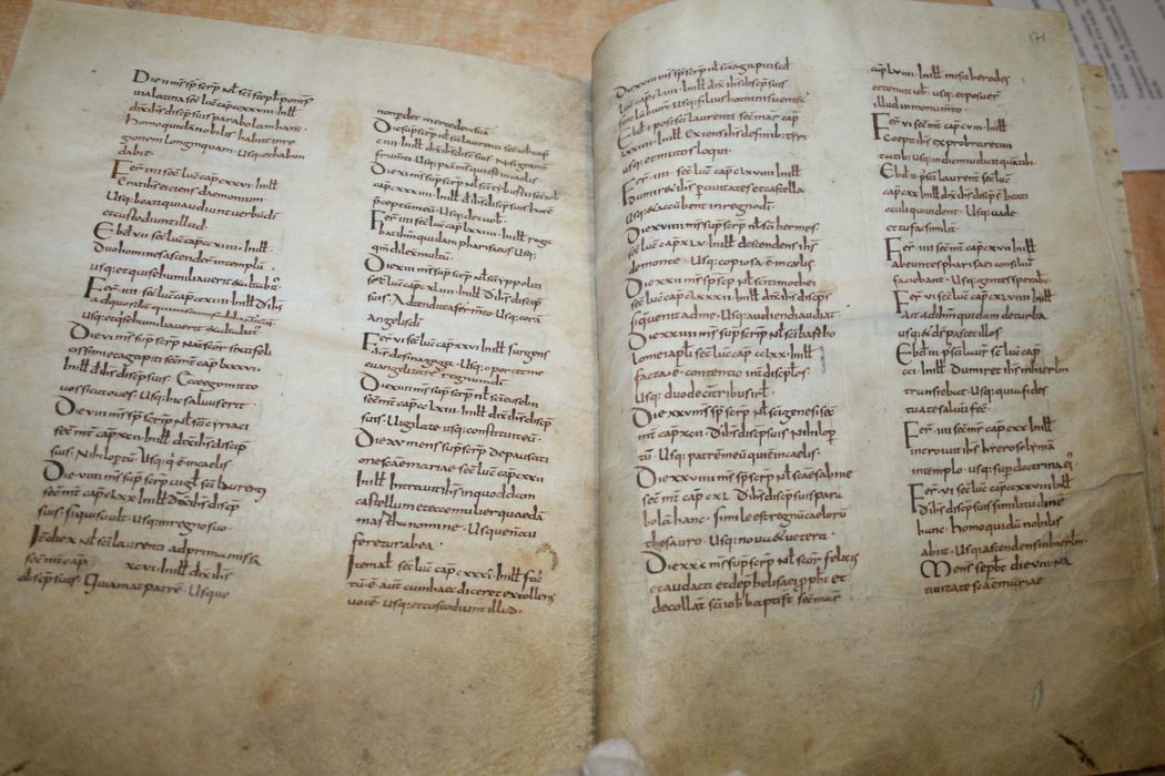 livre liturgique (évangéliaire carolingien)