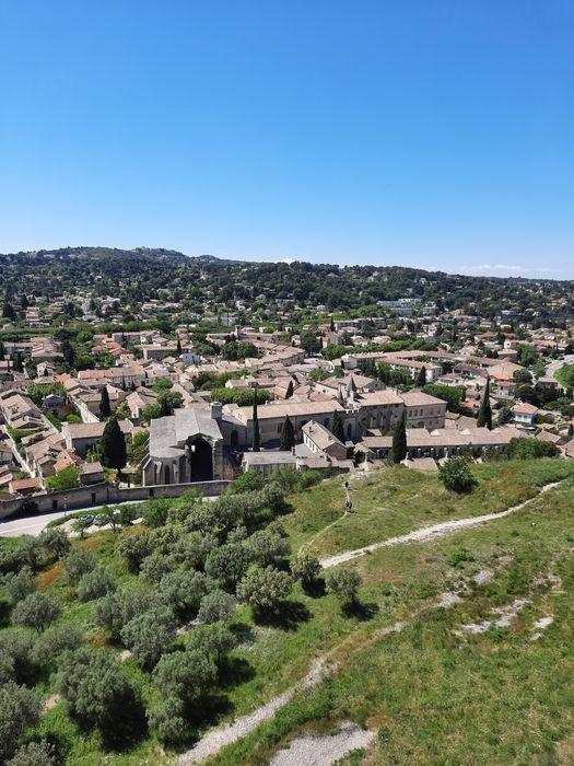 vue générale de la chartreuse dans son environnement depuis l’Est