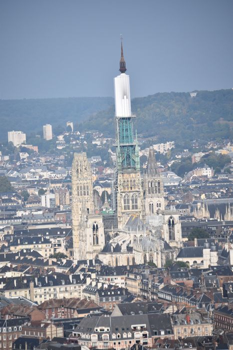 vue générale de la cathédrale dans son environnement depuis le Mont Gargan-Saint-Paul