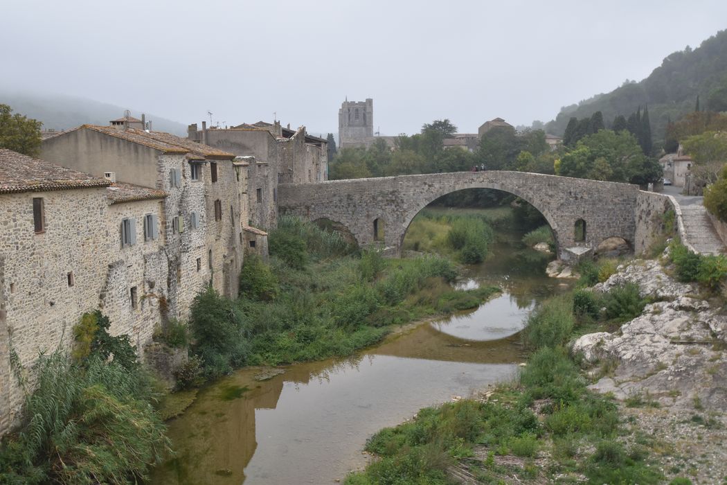 vue générale du pont dans son environnement depuis le Nord