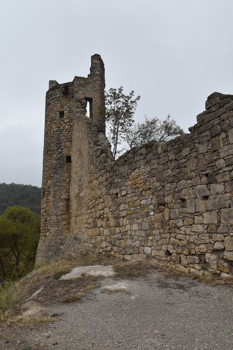 vue générale des vestiges