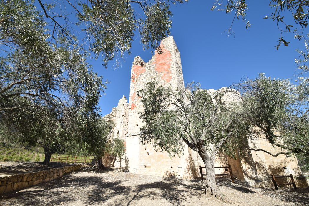 ruines de la façade latérale sud