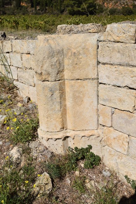 vestiges de la nef, détail d’une colonne